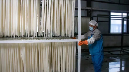 稅務賦能，非遺“活”起來 延邊稅務助力非物質文化遺產傳承與發展